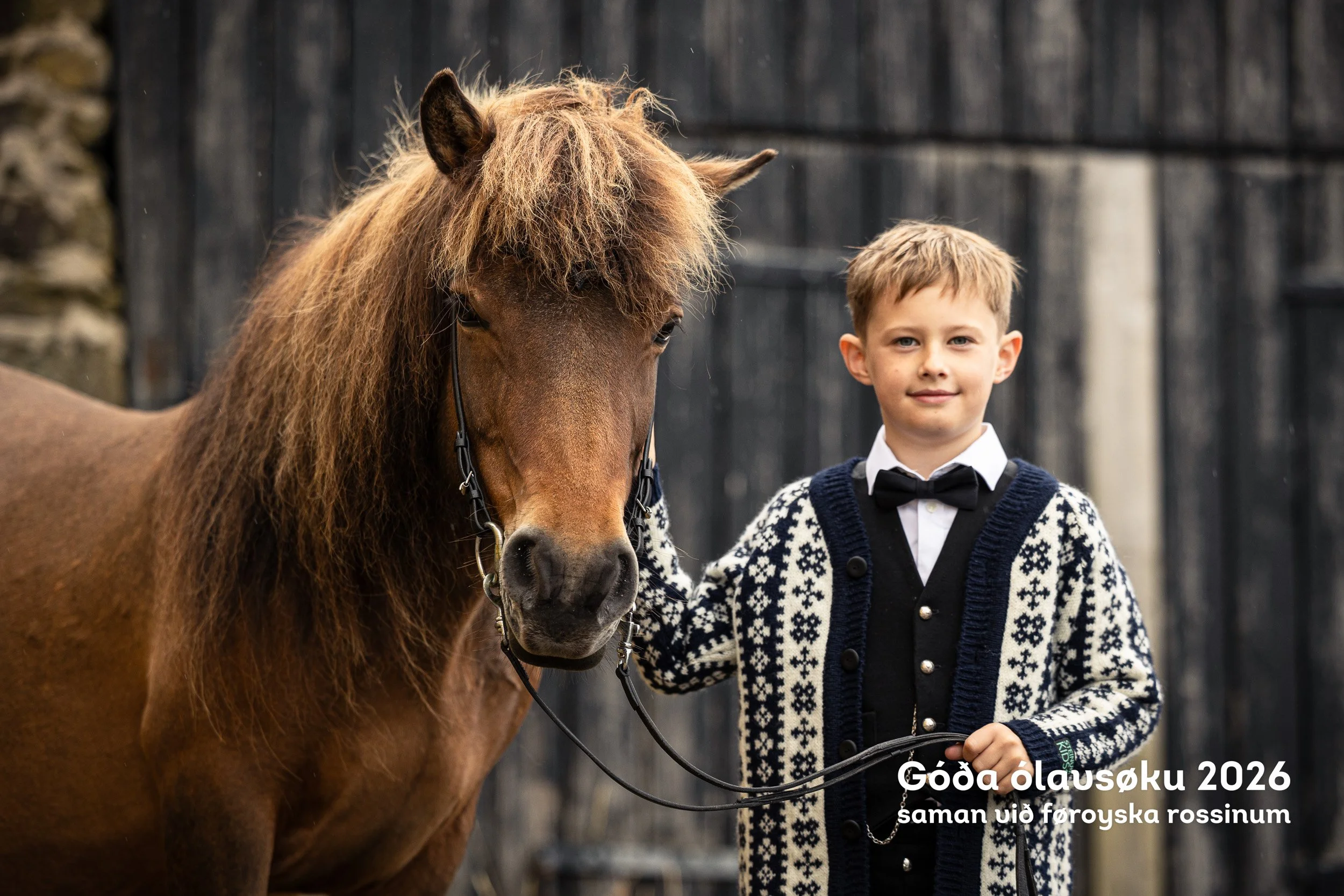 260728_Faroese-Horse-Olavsoka041.jpg