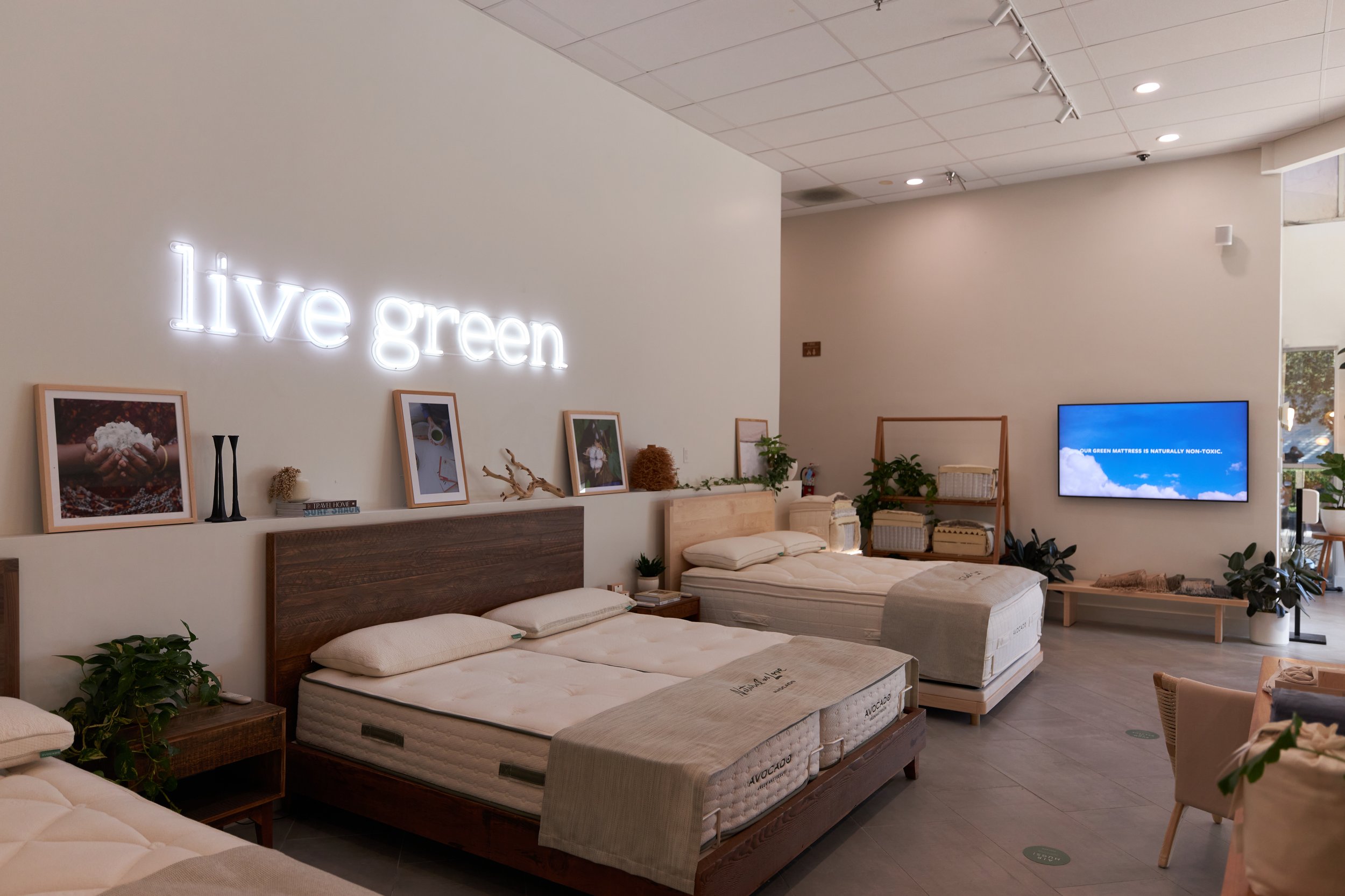 FULLERTON_0101 (1).jpg