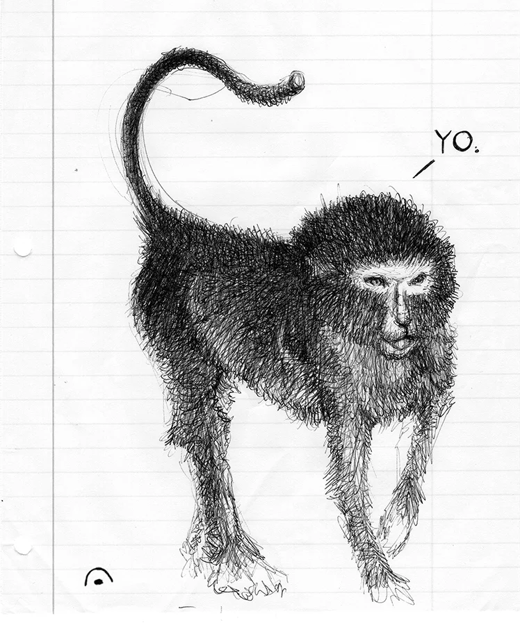sketch | 2018