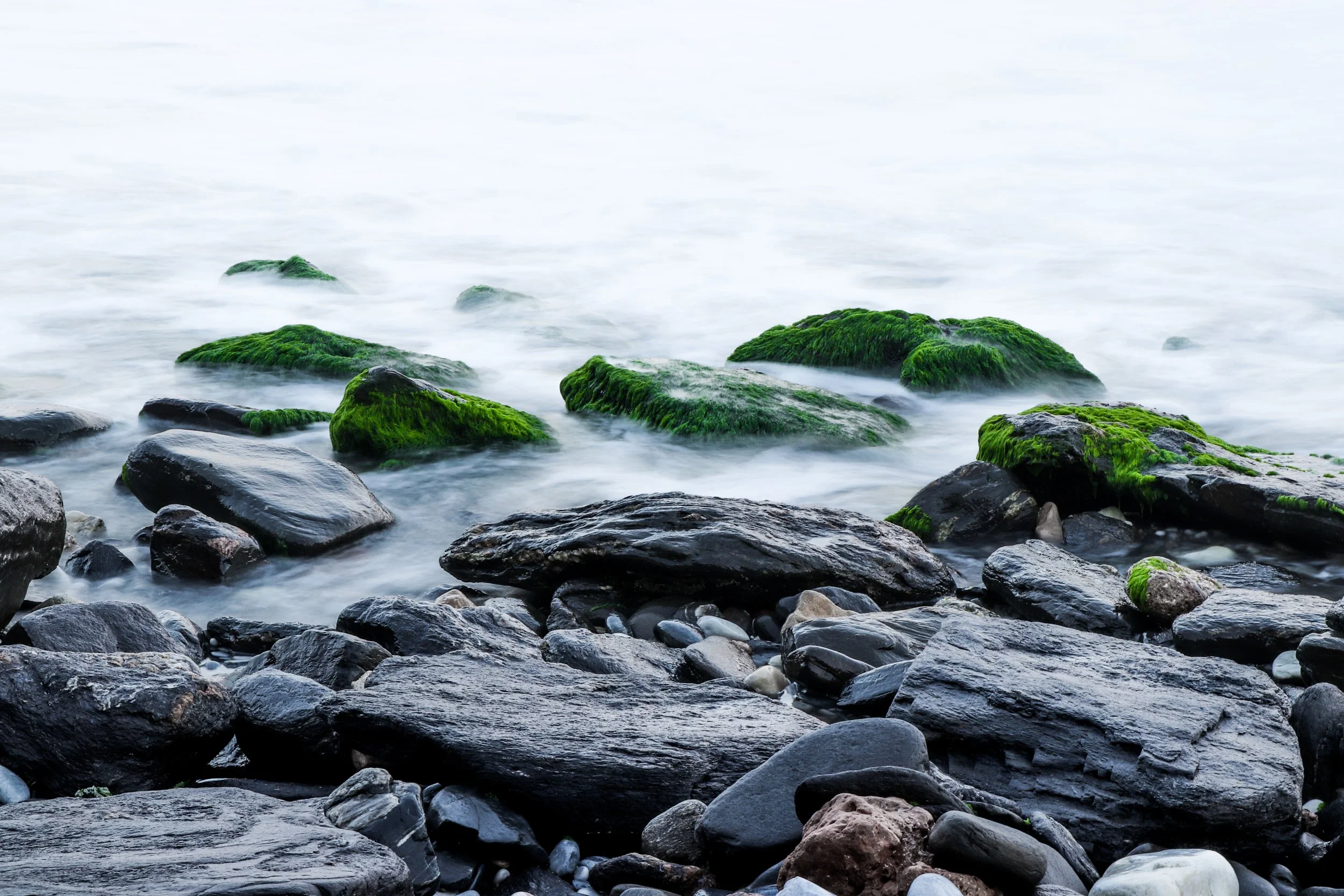 beach-boulder-calm-1437953.jpg