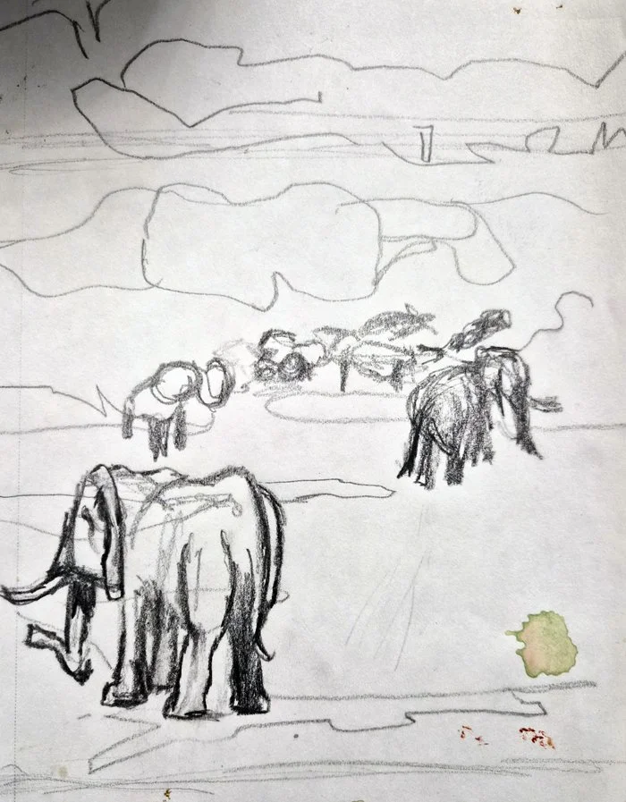 elephants3.jpg