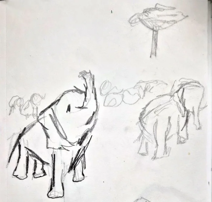elephantsSketch.jpg