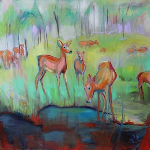 Deer