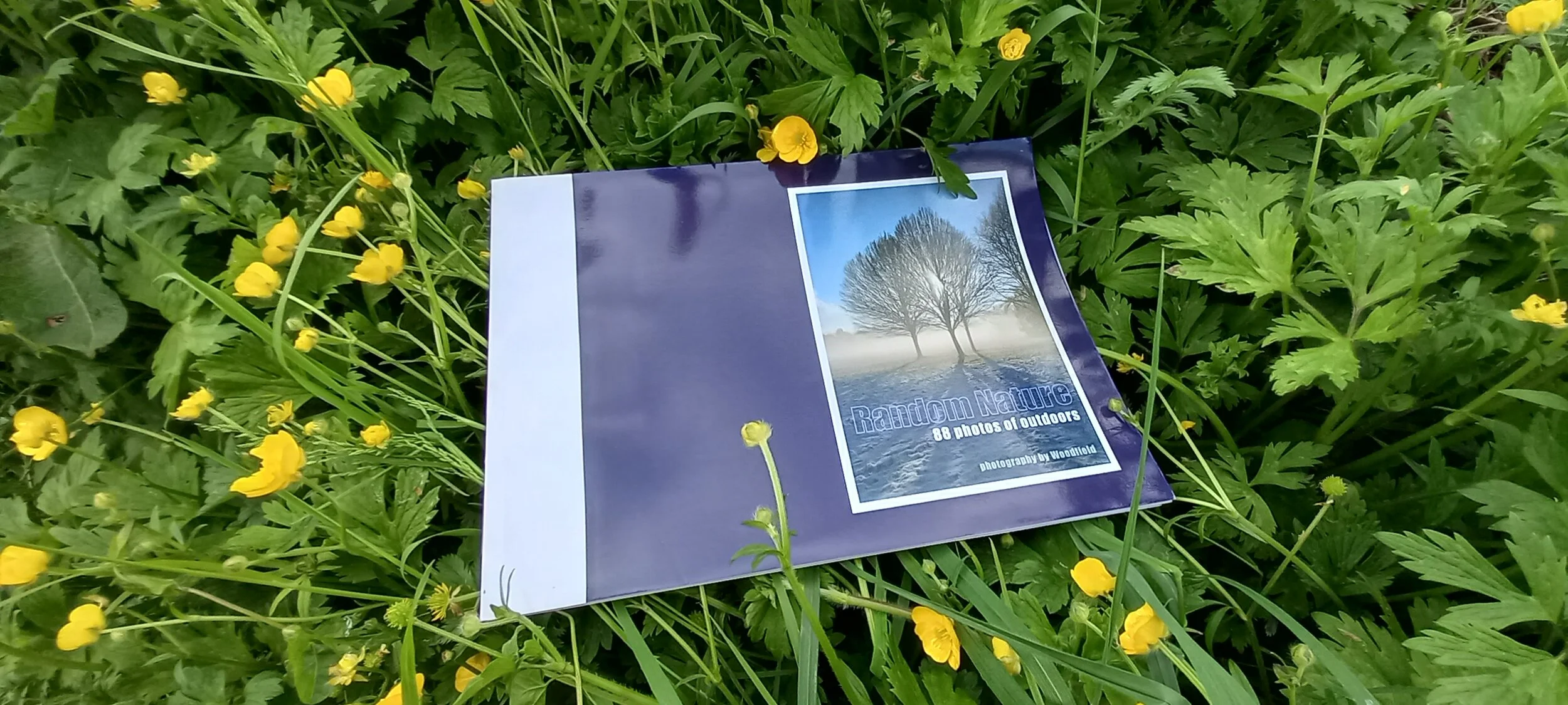 book in nature.jpg