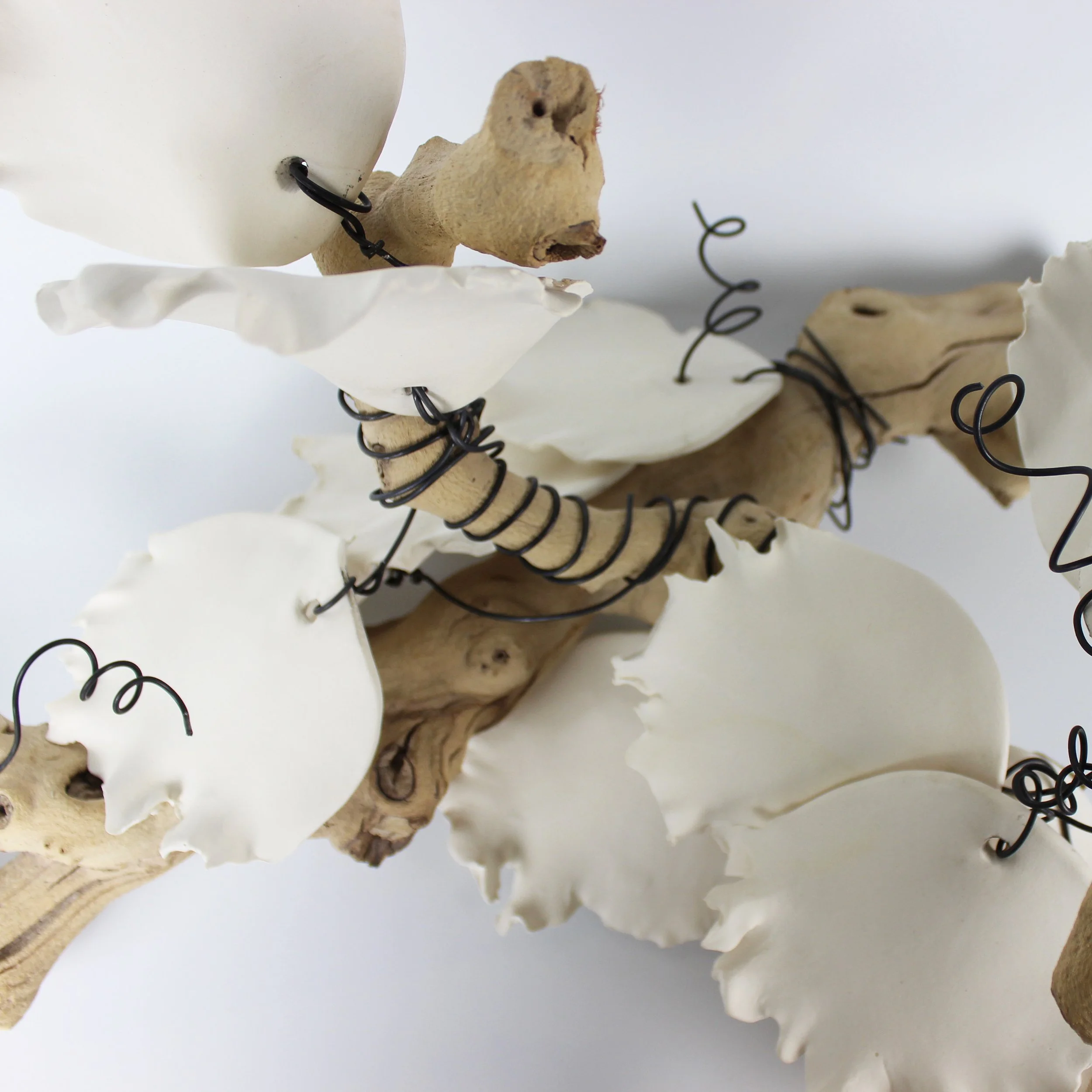 Organic Form_detail.jpg