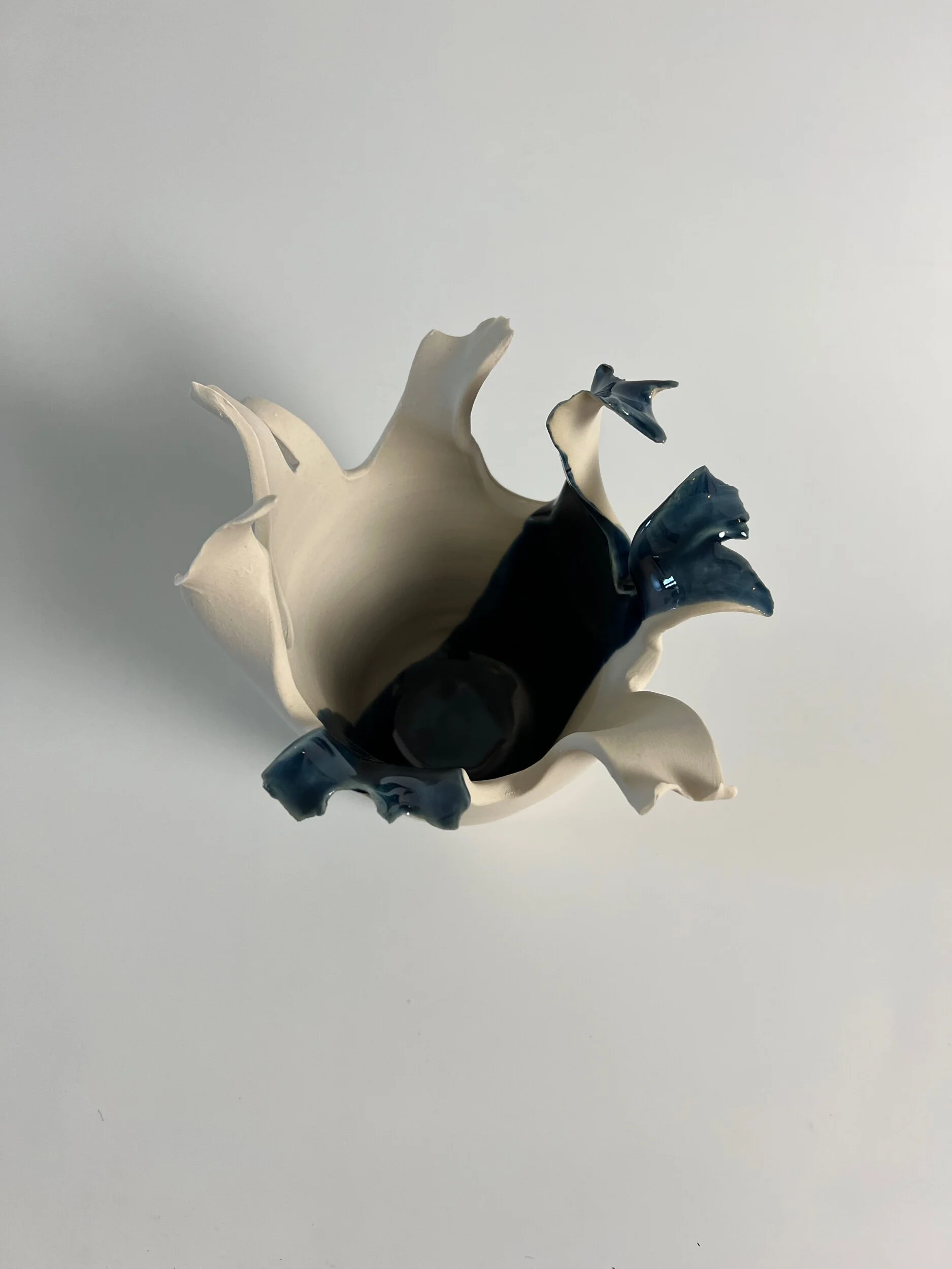 BC3C8081-D916-4D3F-A42E-2AC7B081ACF2