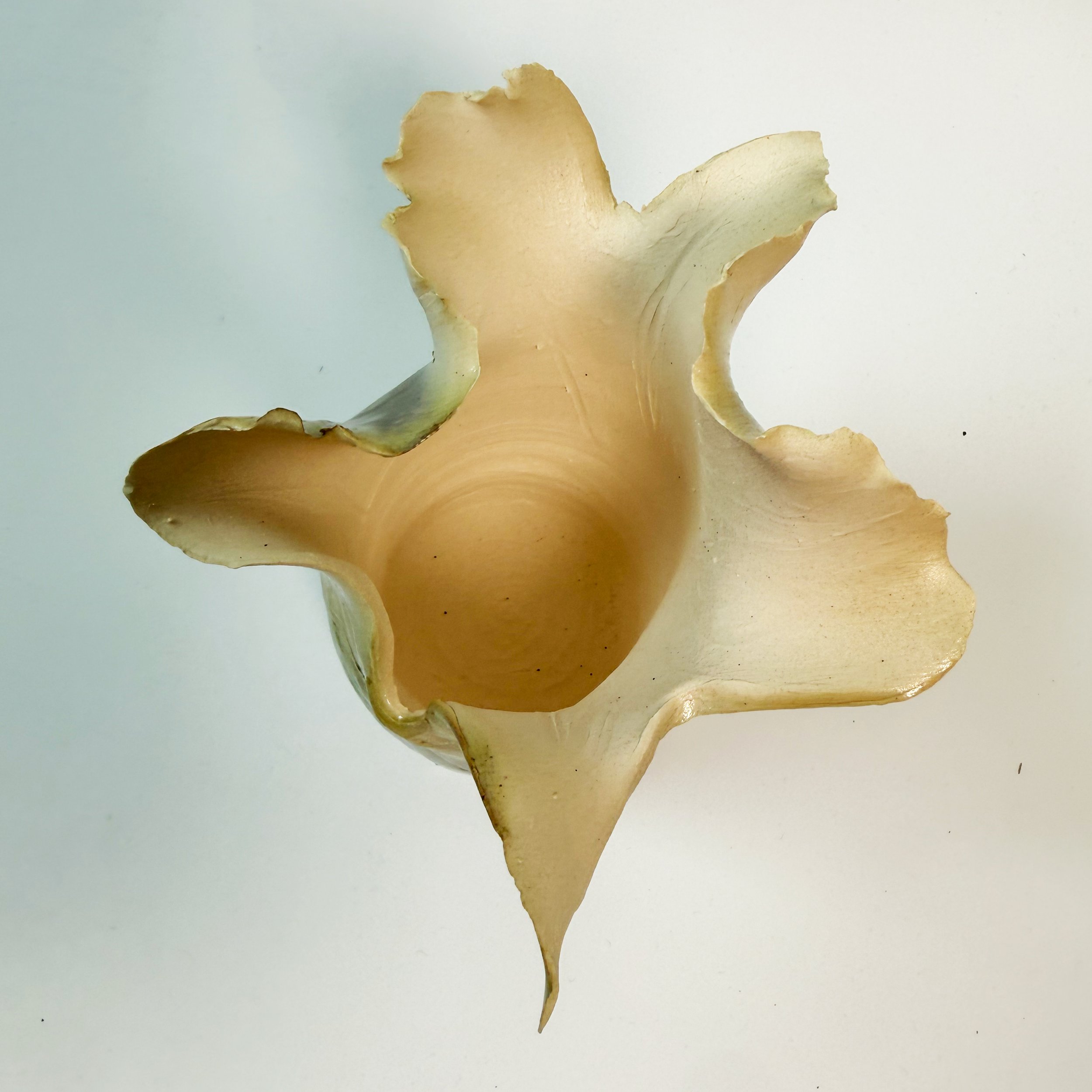 pond-steam-petite-vase_alt2.jpg