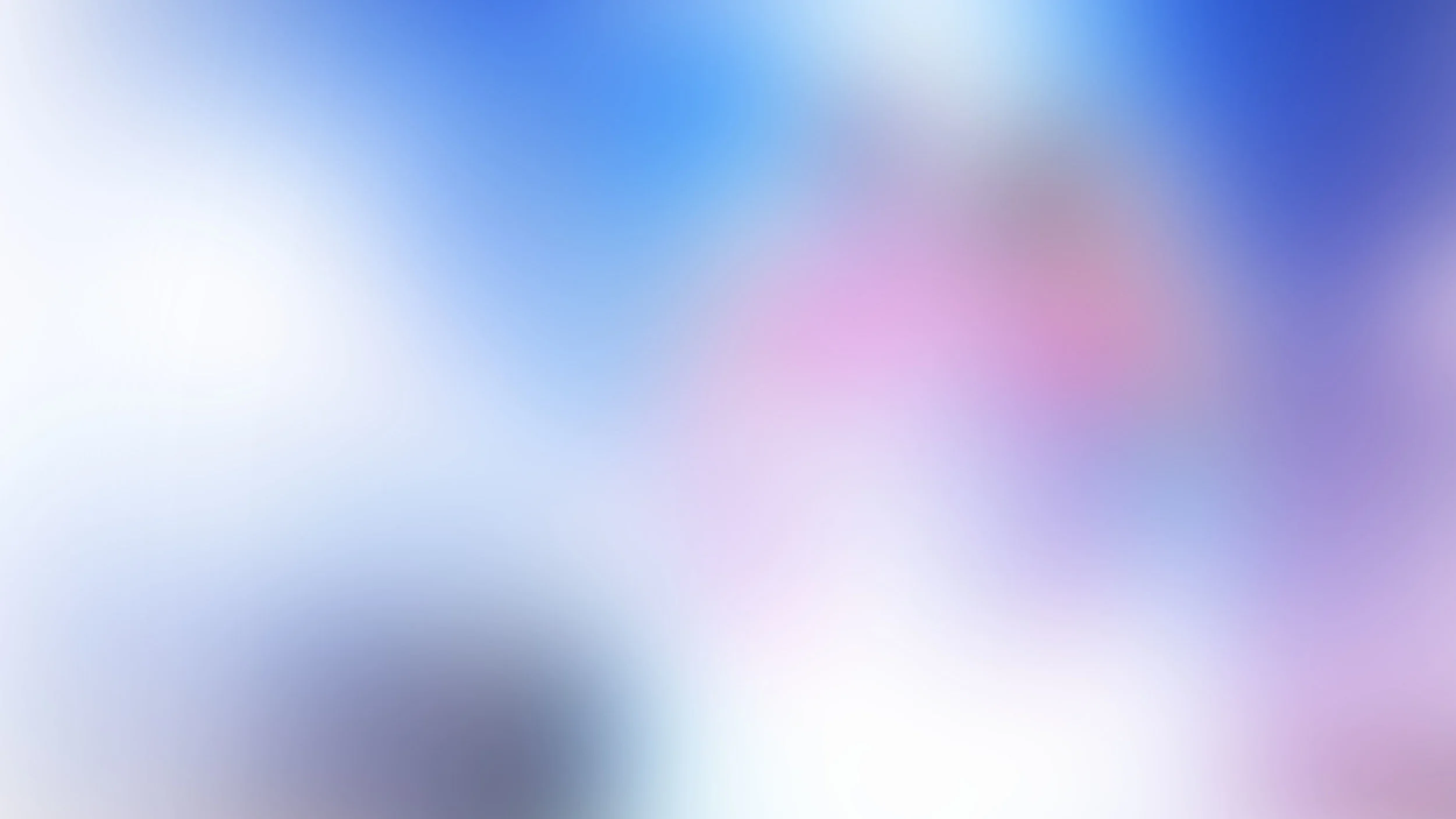 BSH PPT blur bg.jpg