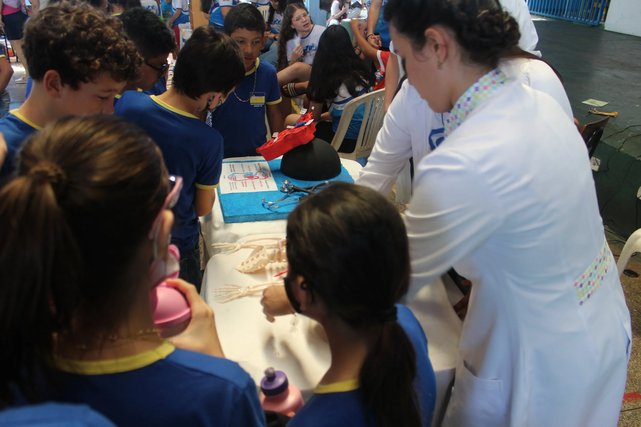Feira de ciências - 2022