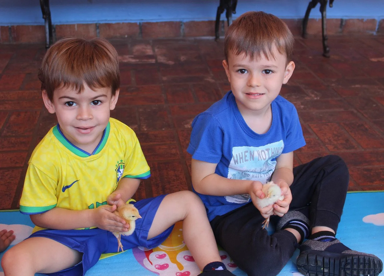 Alunos da Educação Infantil interação com o projetos aves Alunos da Educação Infantil interação com o projetos aves