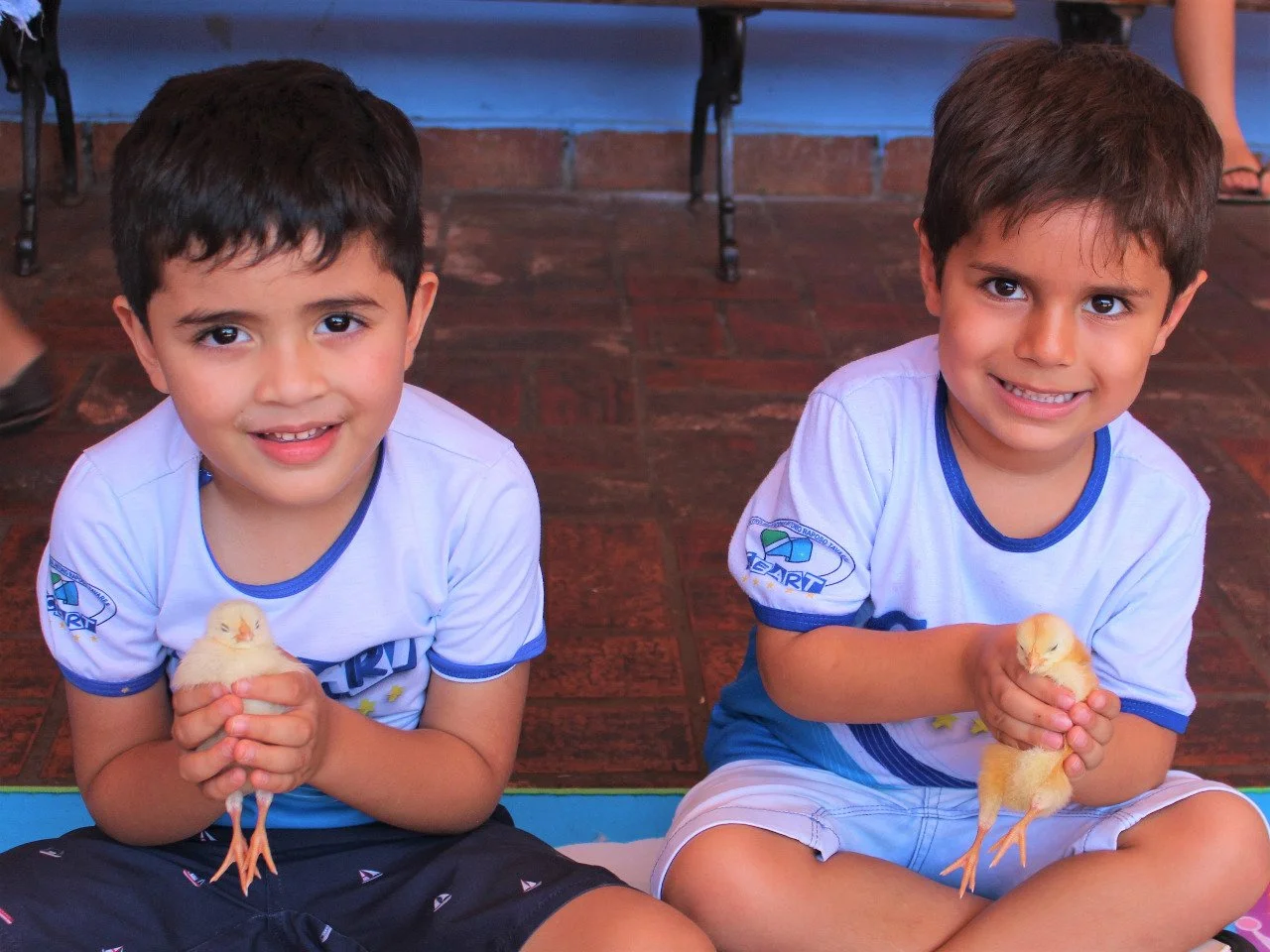 Alunos da Educação Infantil interação com o projetos aves Alunos da Educação Infantil interação com o projetos aves