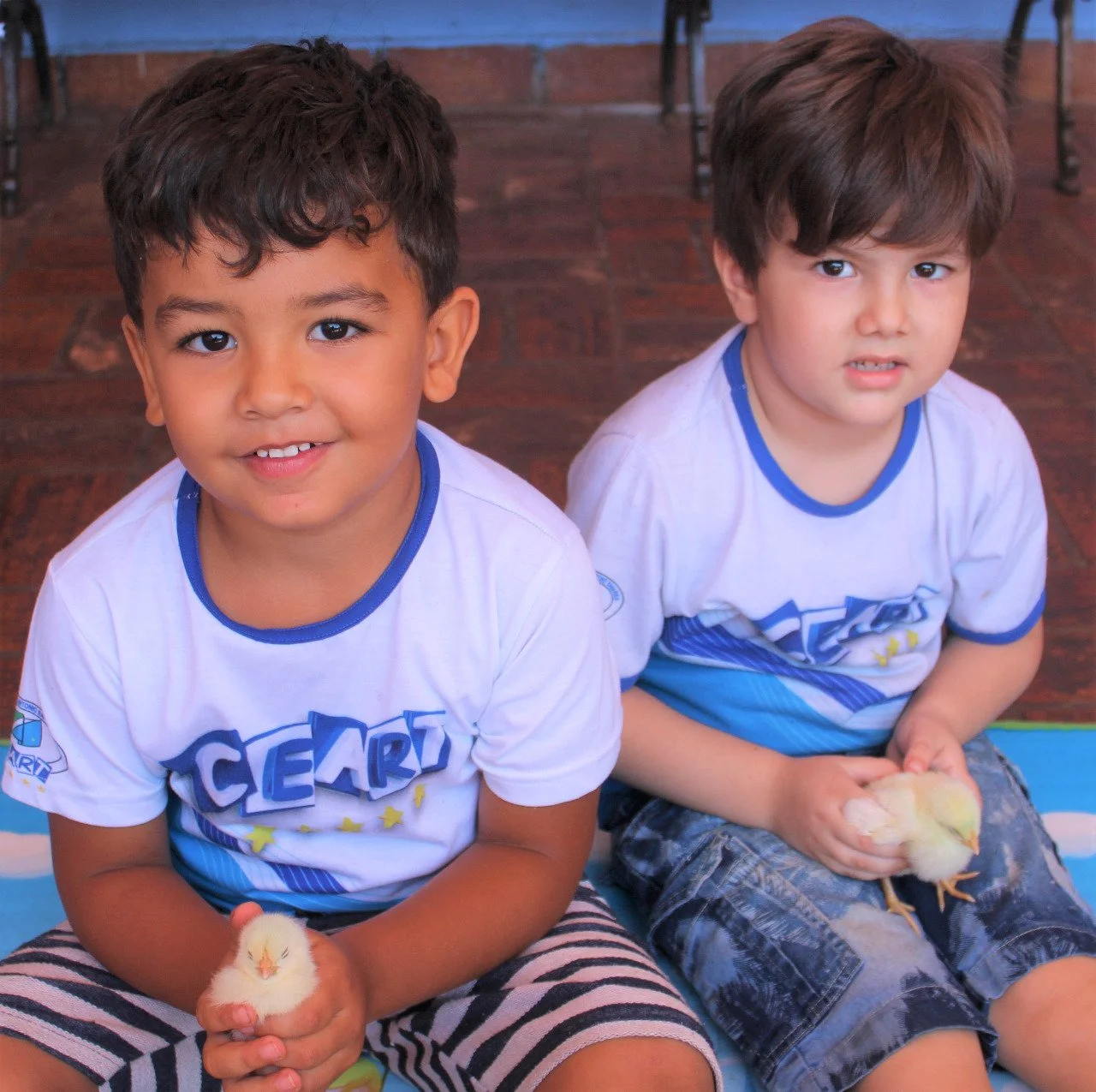 Alunos da Educação Infantil interação com o projetos aves Alunos da Educação Infantil interação com o projetos aves