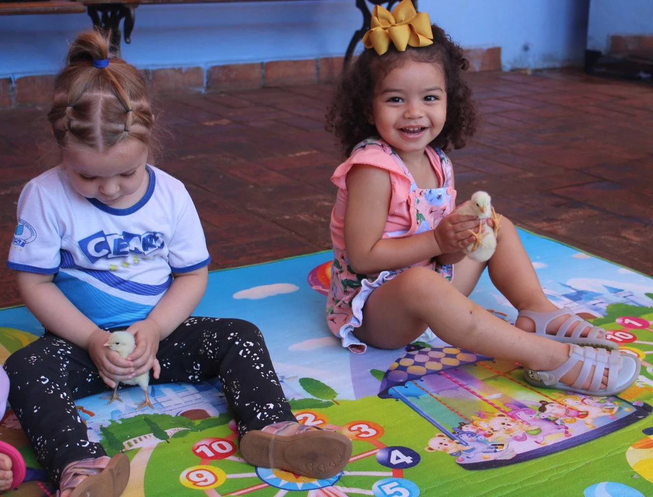 Alunos da Educação Infantil interação com o projetos aves Alunos da Educação Infantil interação com o projetos aves