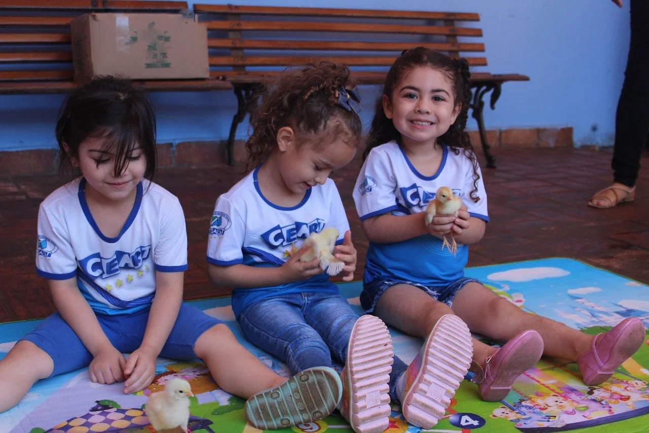 Alunos da Educação Infantil interação com o projetos aves Alunos da Educação Infantil interação com o projetos aves