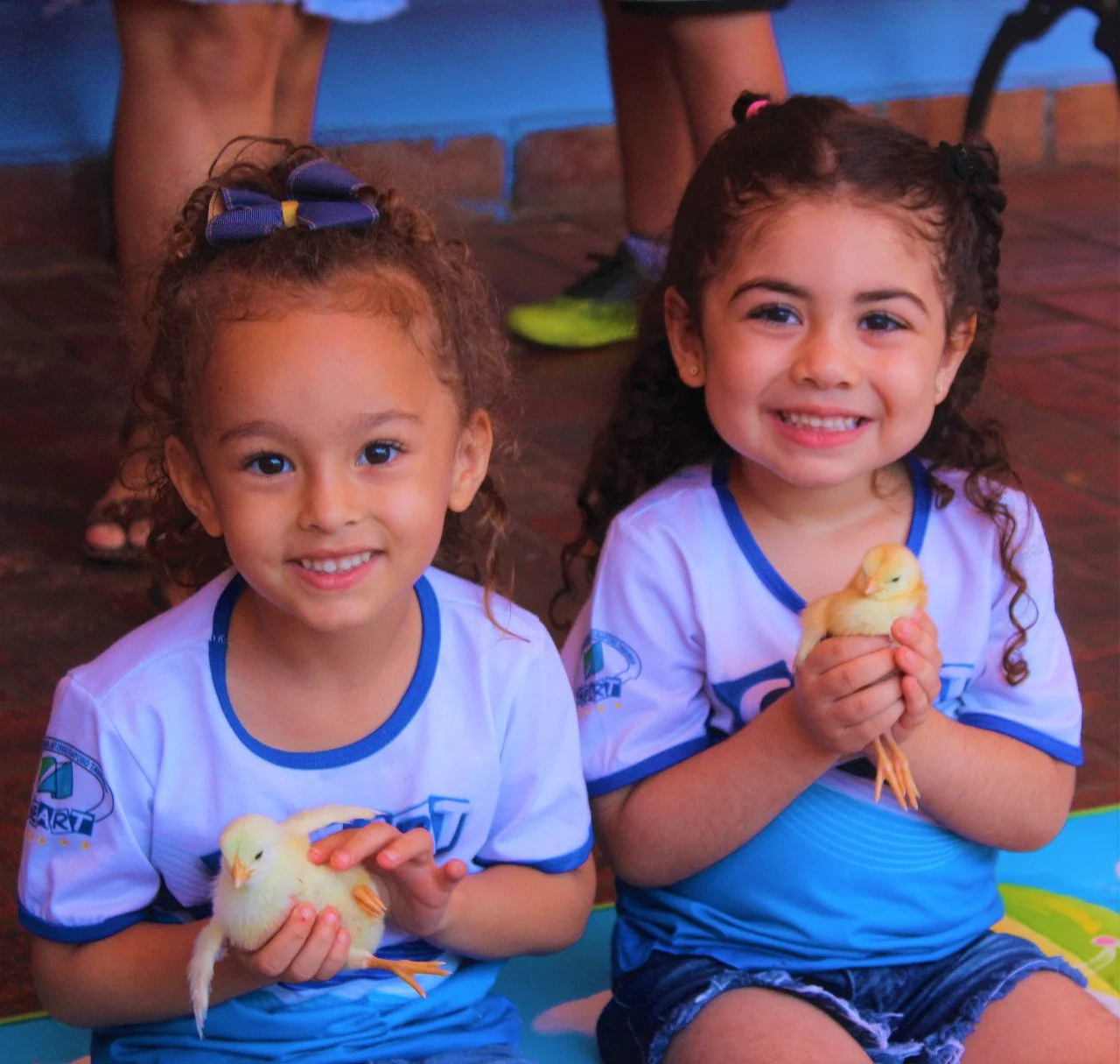 Alunos da Educação Infantil interação com o projetos aves Alunos da Educação Infantil interação com o projetos aves