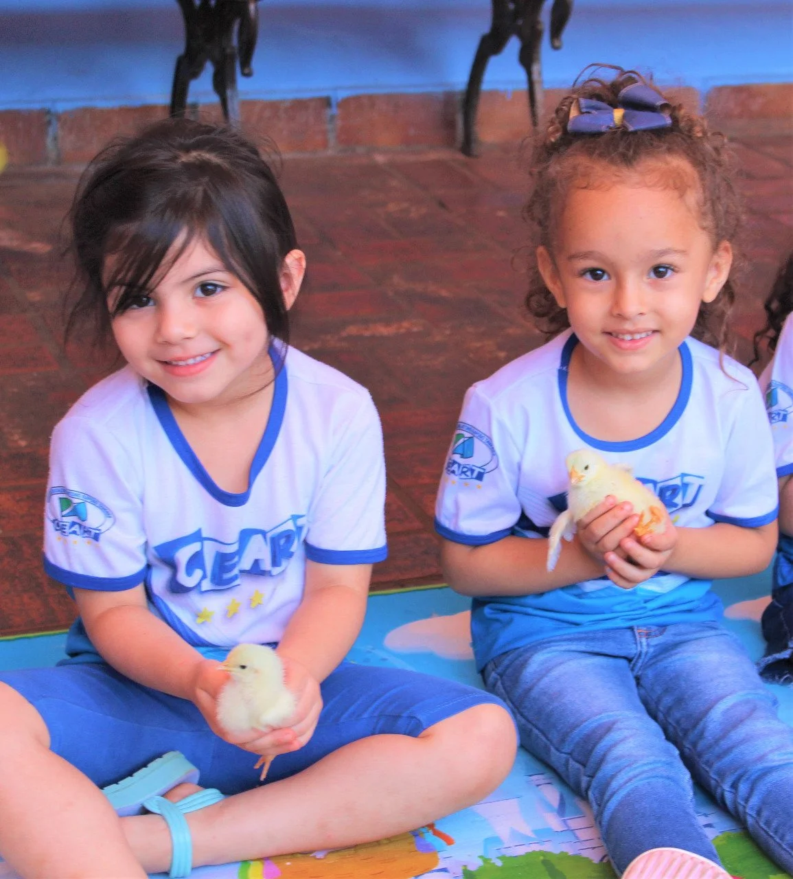 Alunos da Educação Infantil interação com o projetos aves Alunos da Educação Infantil interação com o projetos aves
