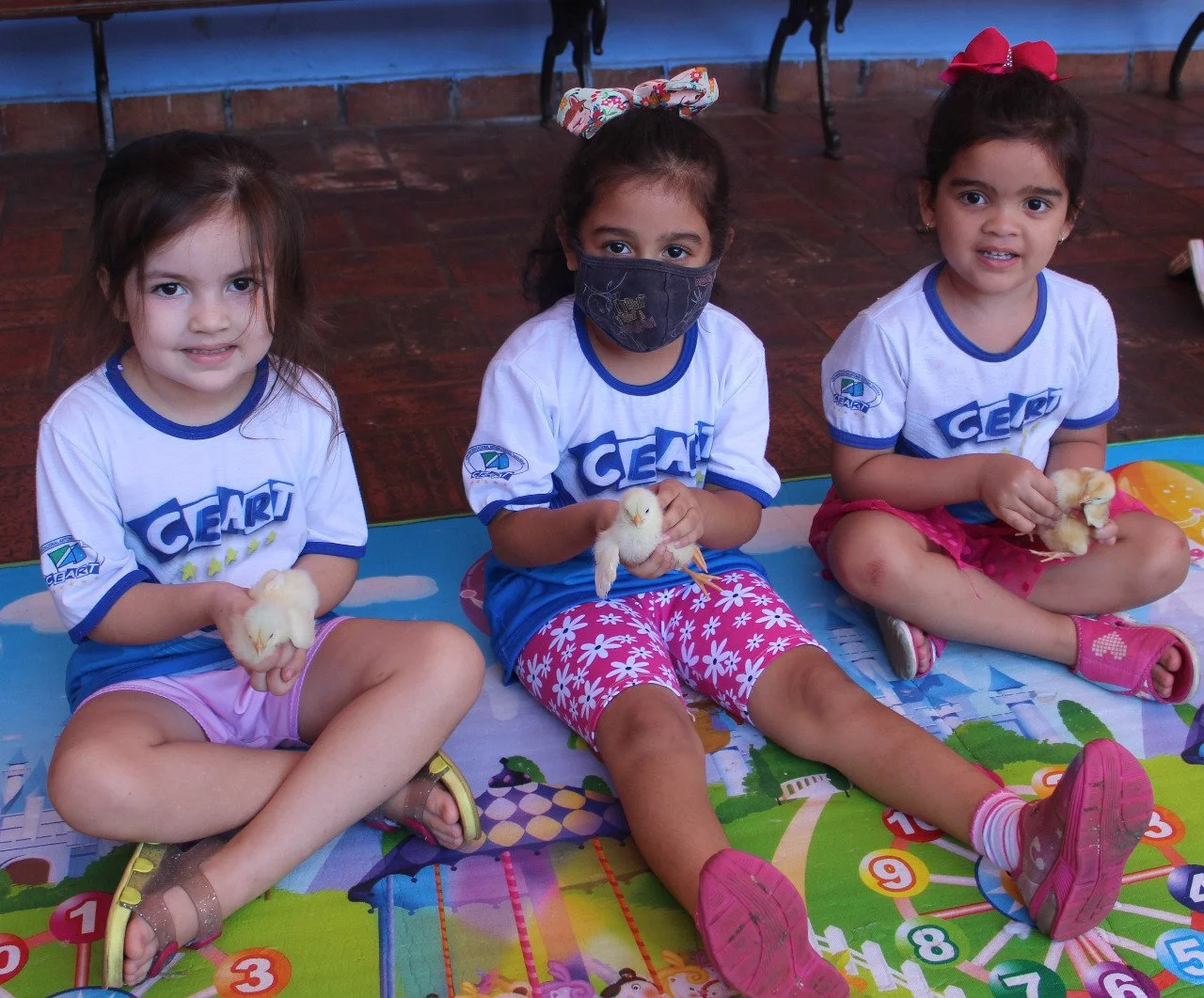 Alunos da Educação Infantil interação com o projetos aves Alunos da Educação Infantil interação com o projetos aves