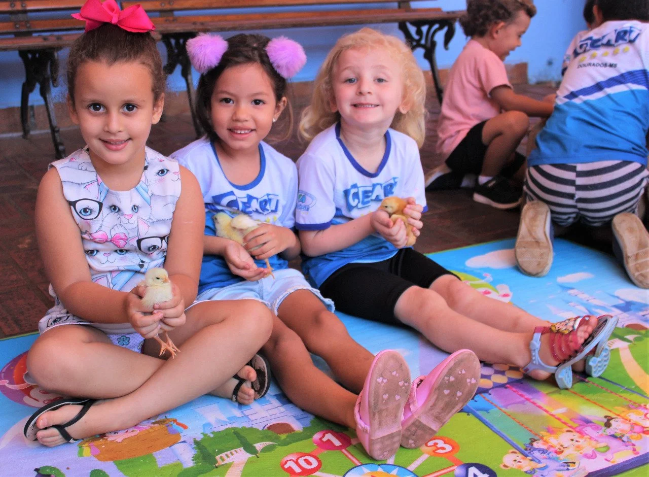 Alunos da Educação Infantil interação com o projetos aves Alunos da Educação Infantil interação com o projetos aves