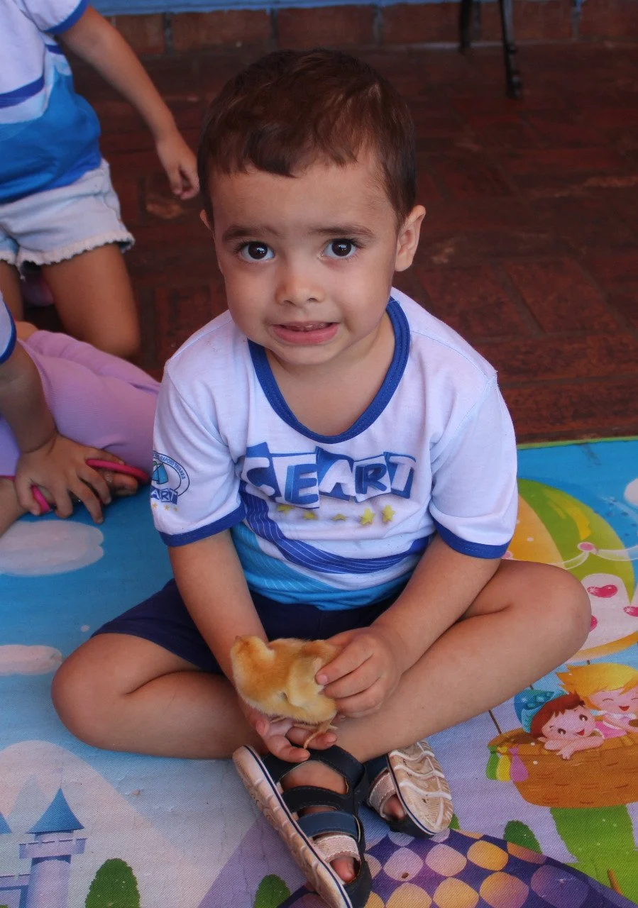 Alunos da Educação Infantil interação com o projetos aves Alunos da Educação Infantil interação com o projetos aves