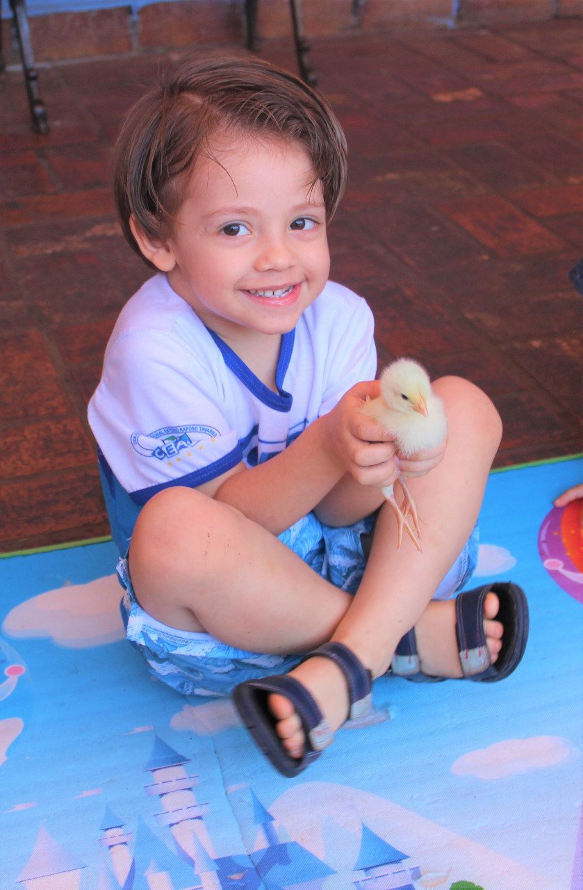 Alunos da Educação Infantil interação com o projetos aves Alunos da Educação Infantil interação com o projetos aves