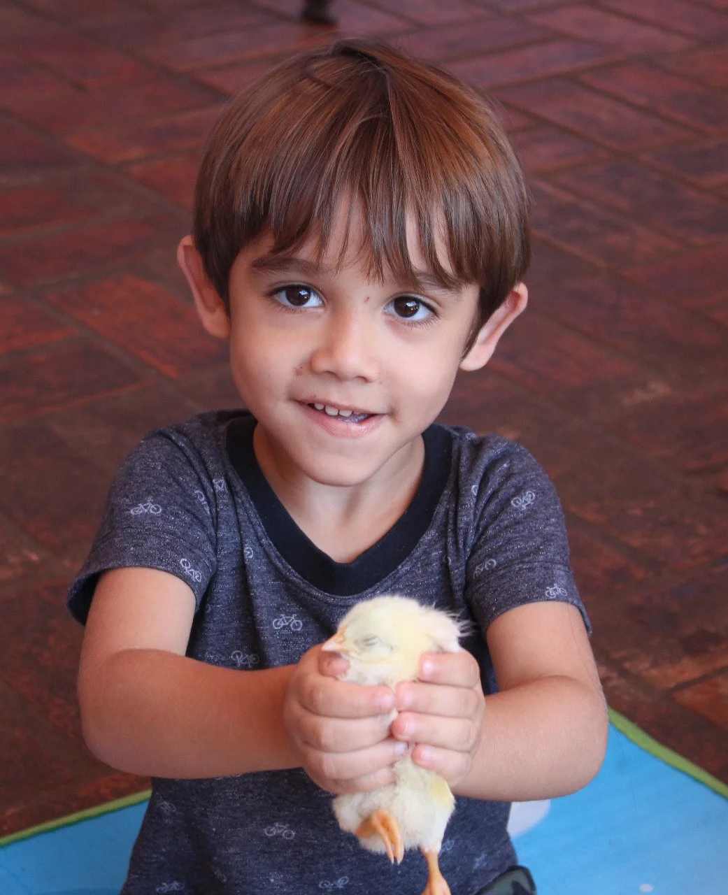 Alunos da Educação Infantil interação com o projetos aves Alunos da Educação Infantil interação com o projetos aves