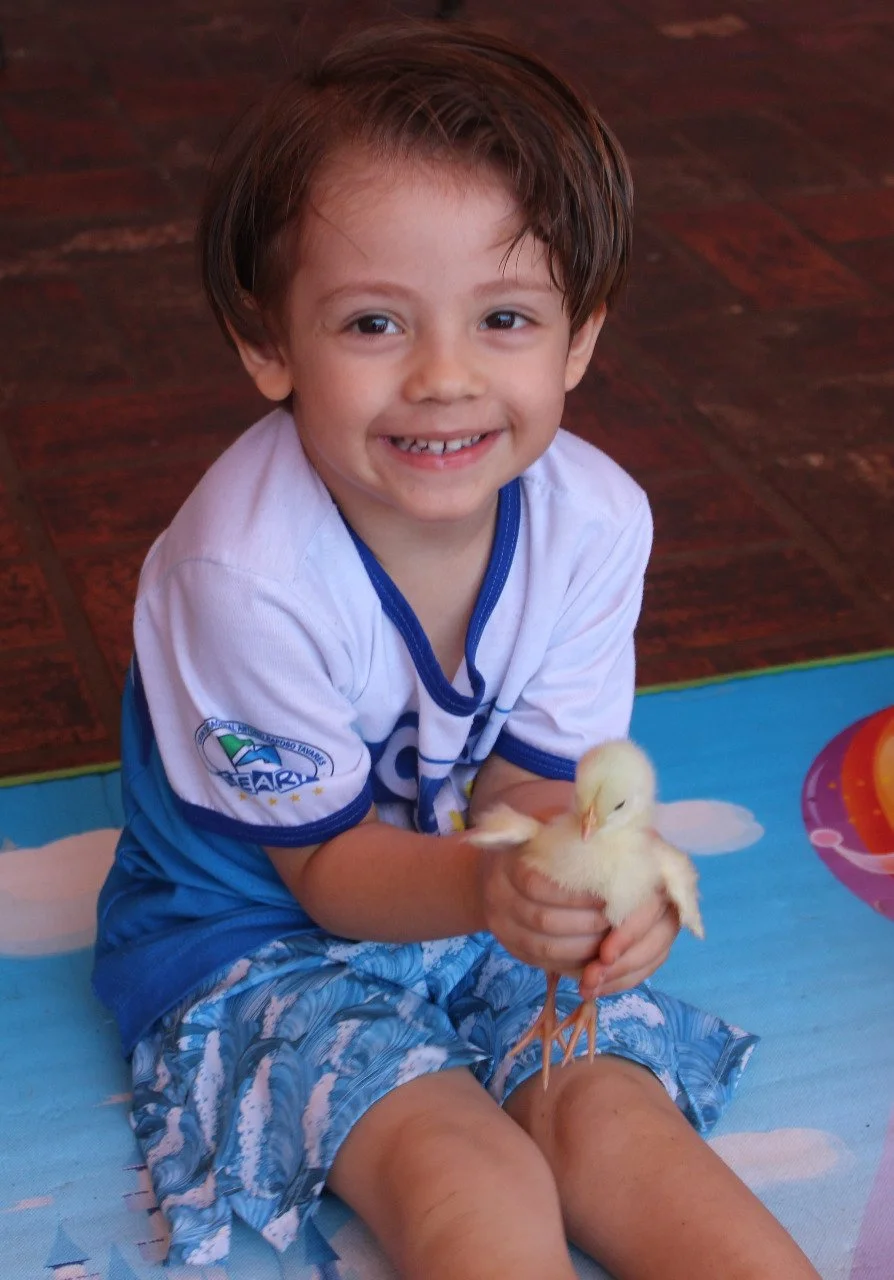 Alunos da Educação Infantil interação com o projetos aves Alunos da Educação Infantil interação com o projetos aves