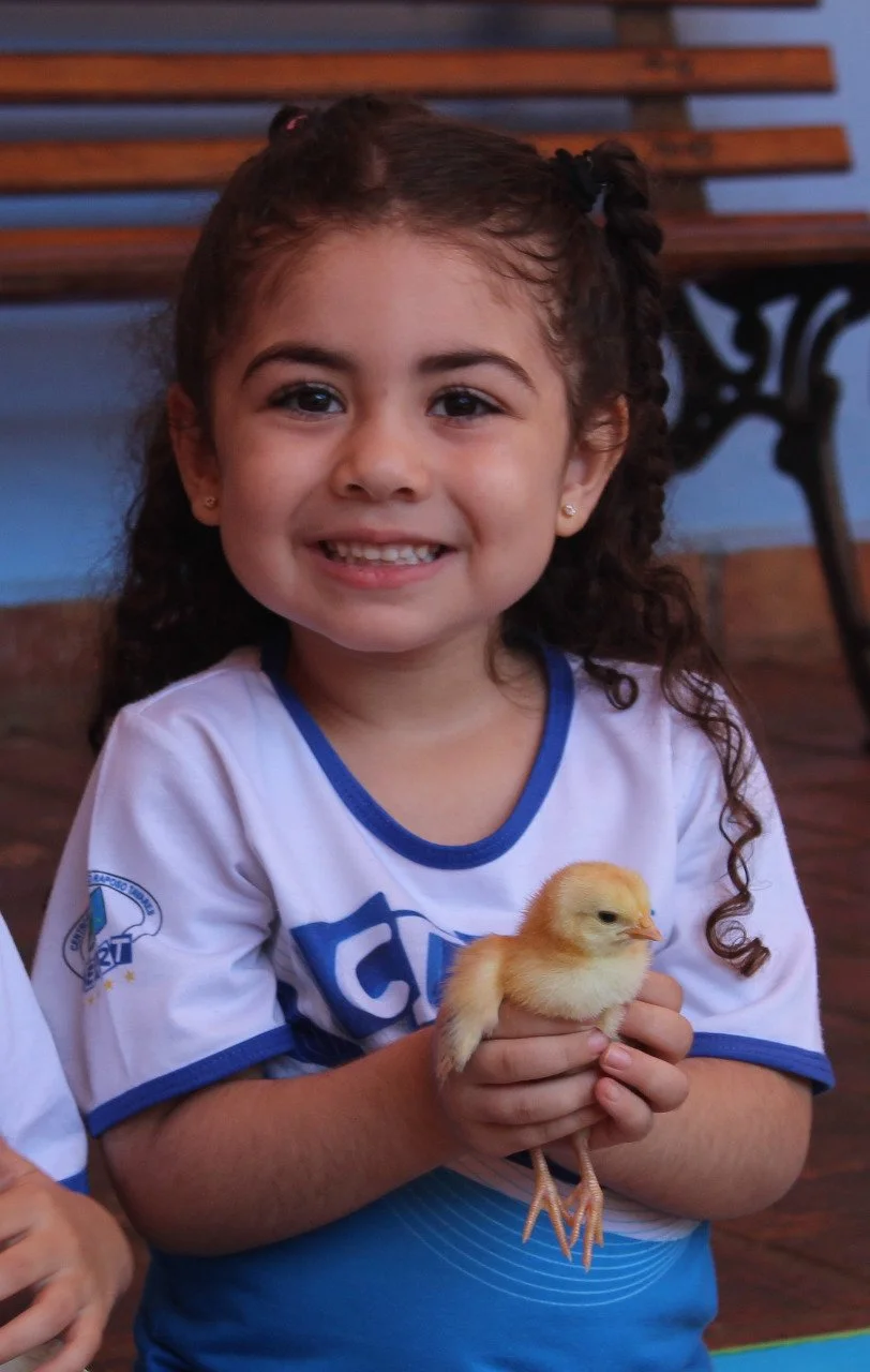 Alunos da Educação Infantil interação com o projetos aves 