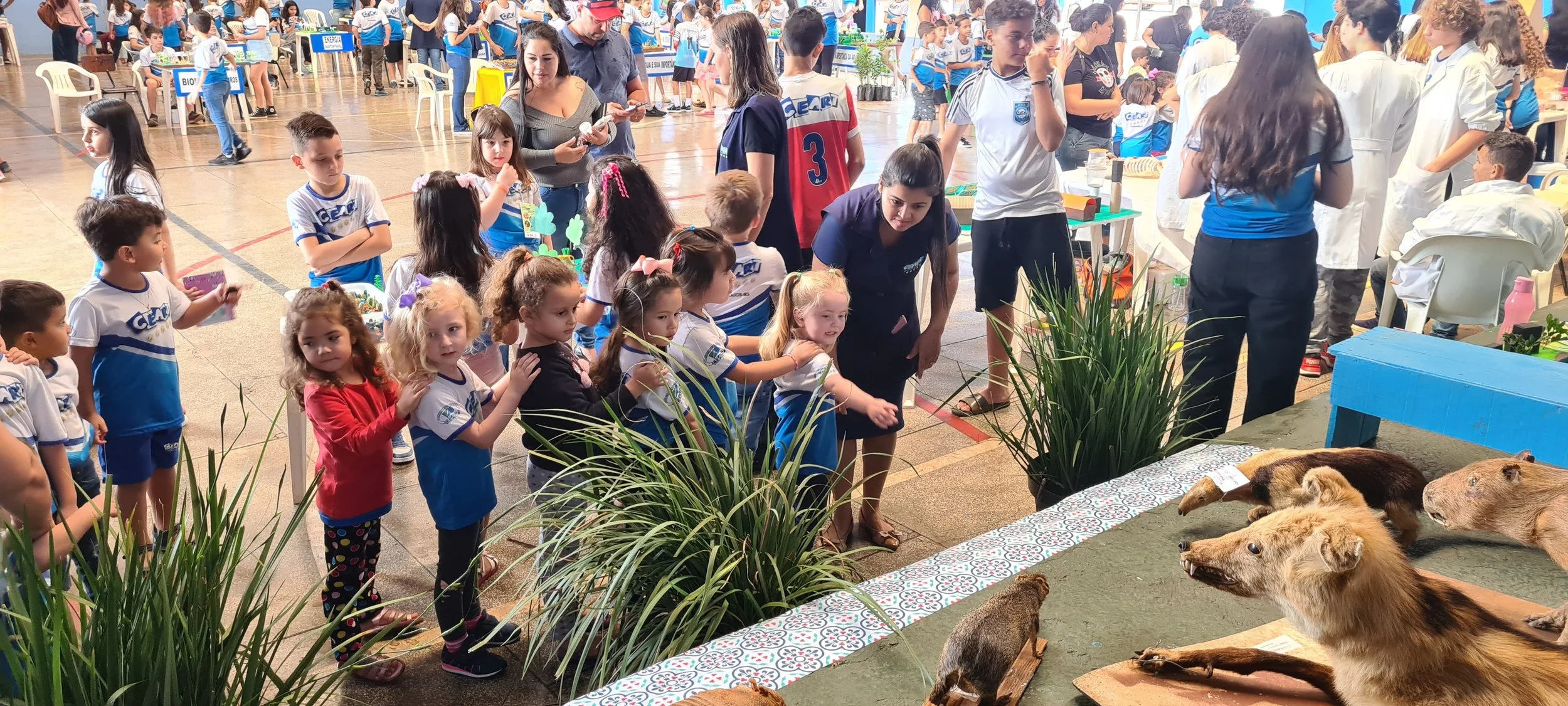 Feira de ciências - 2022 Feira de ciências - 2022
