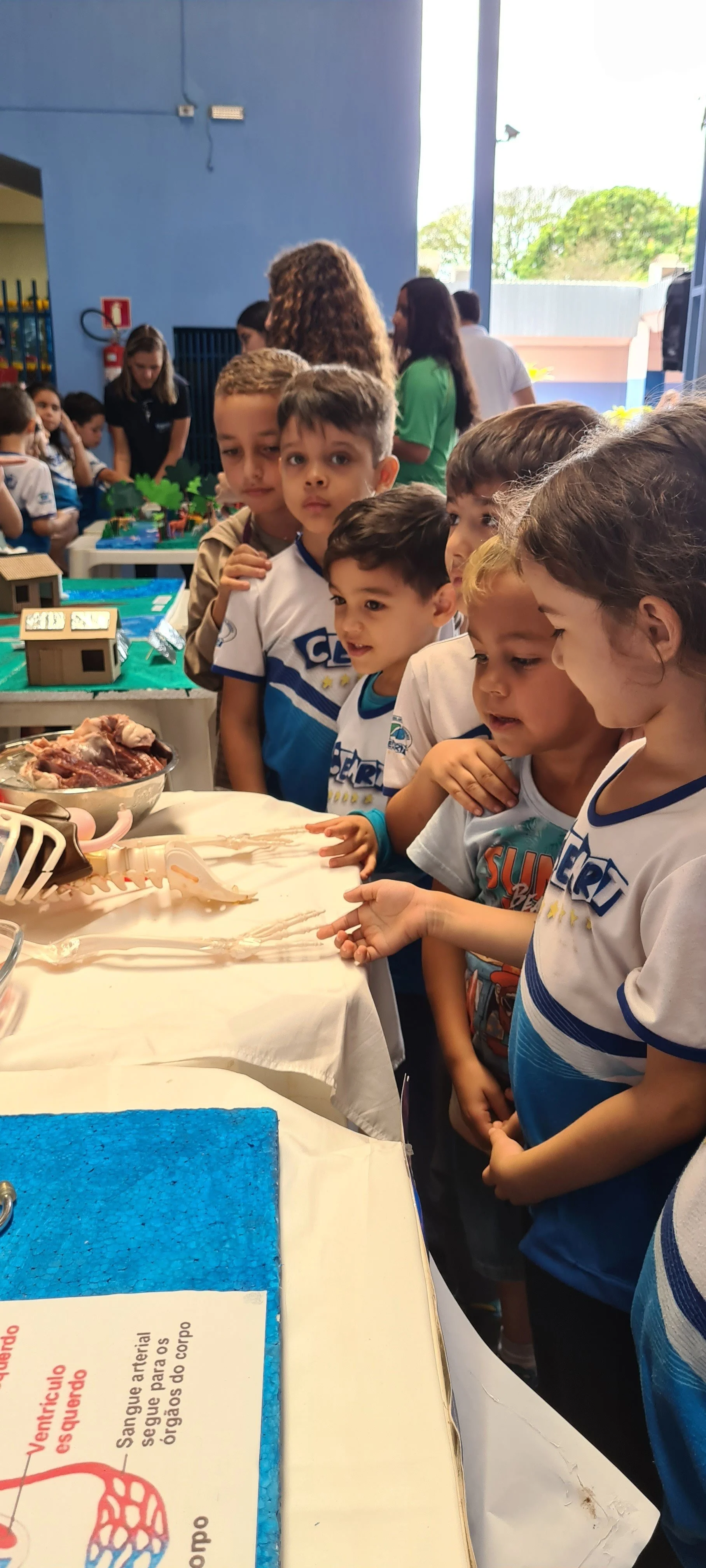 Feira de ciências - 2022 Feira de ciências - 2022