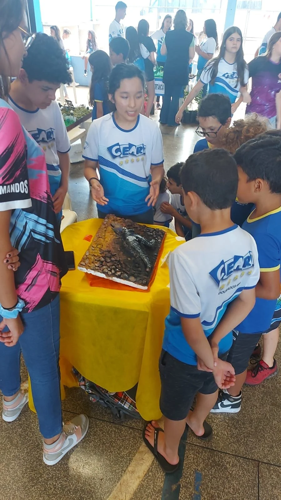 Feira de ciências - 2022 Feira de ciências - 2022