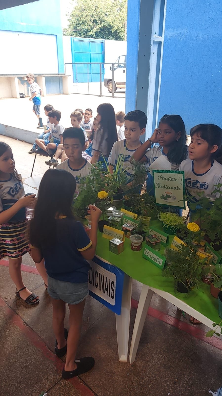 Feira de ciências - 2022 Feira de ciências - 2022