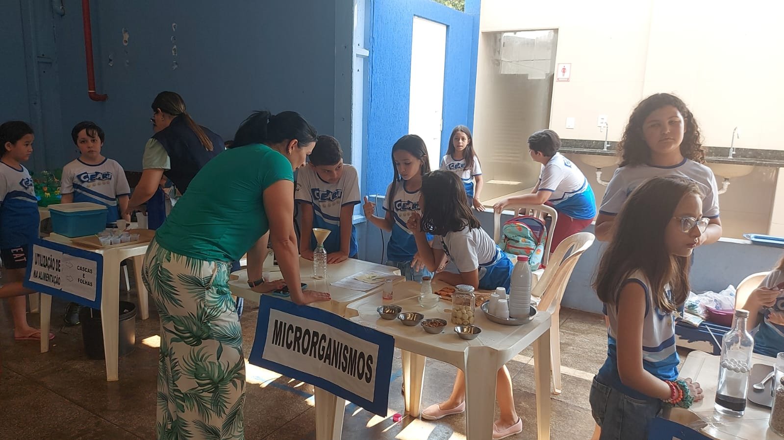 Feira de ciências - 2022 Feira de ciências - 2022
