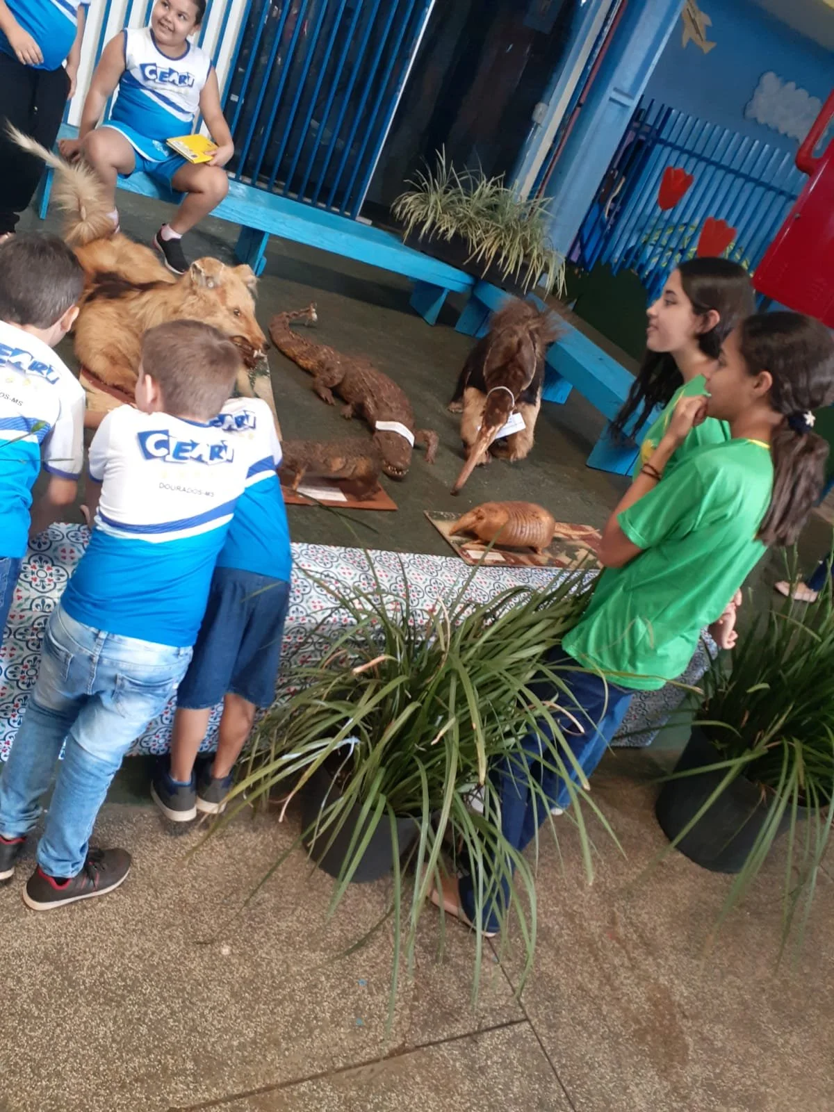 Feira de ciências - 2022 Feira de ciências - 2022