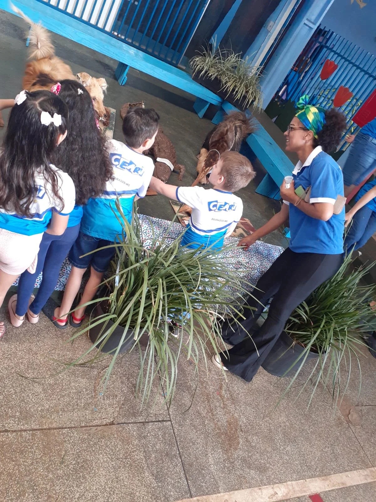 Feira de ciências - 2022 Feira de ciências - 2022