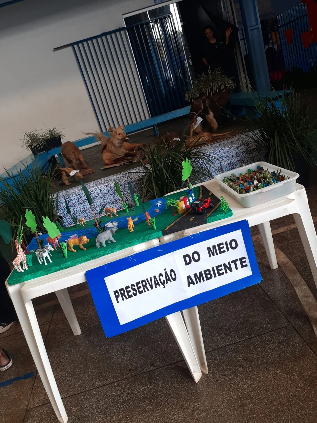 Feira de ciências - 2022 Feira de ciências - 2022