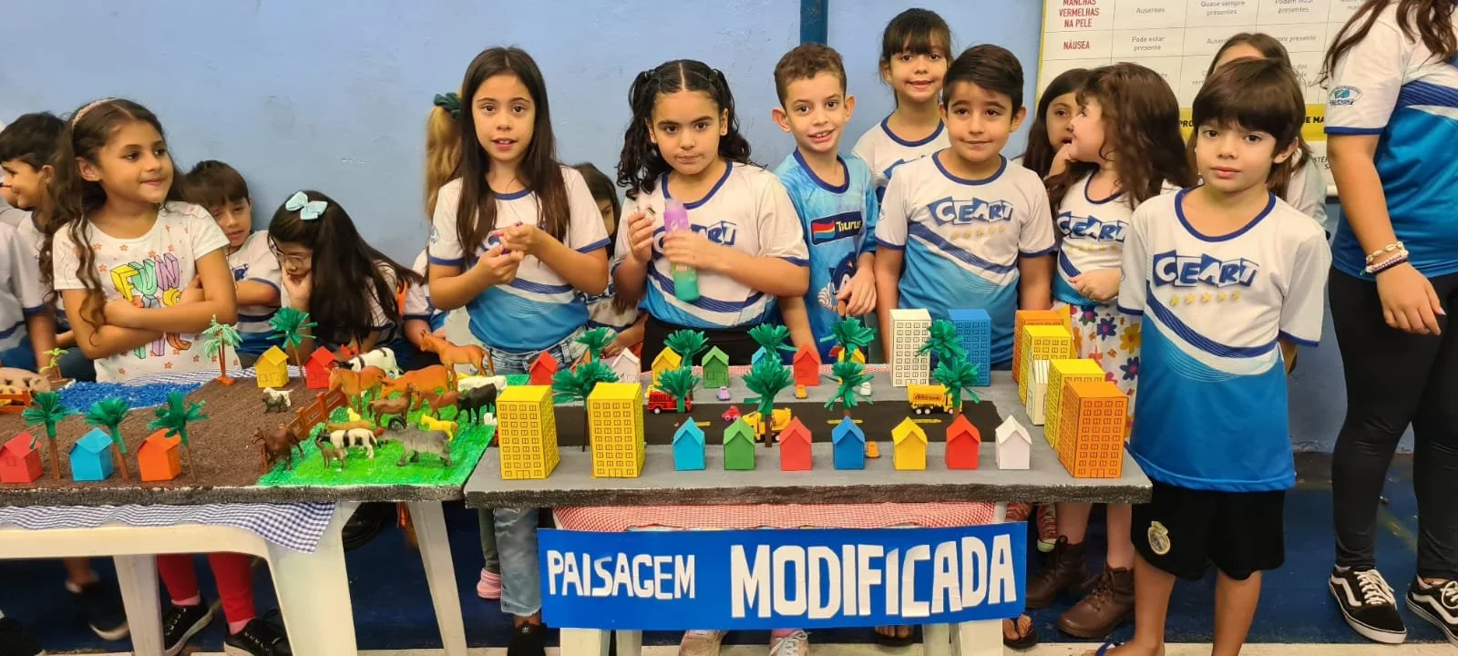 FEIRA DE CIÊNCIAS FEIRA DE CIÊNCIAS