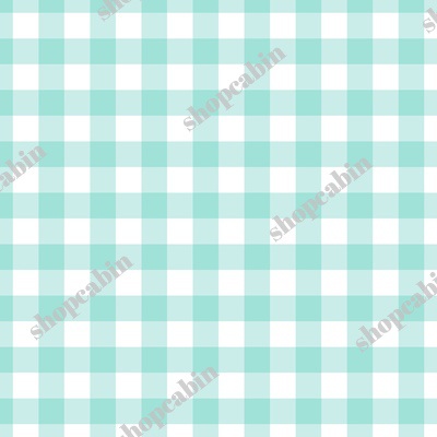 Aqua Gingham.jpg