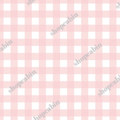 Blush Pink Gingham.jpg