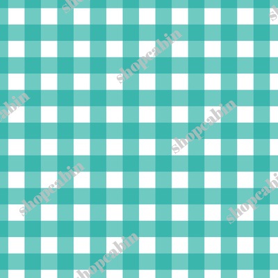 Teal Gingham.jpg