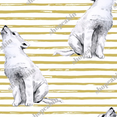 Baby Wolf With Gold Stripes.jpg