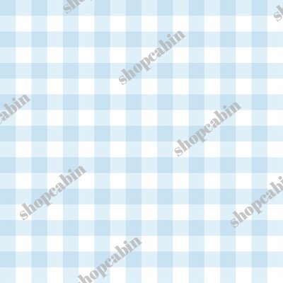 Blue Gingham.jpg