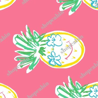 Summer Pineapple In Pink.jpg