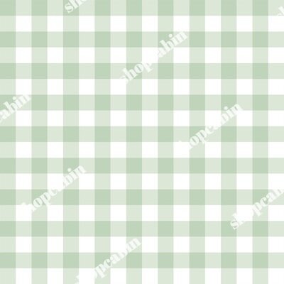 Minty Green Gingham.jpg