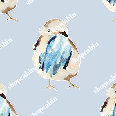 Birdie In Blue.jpg