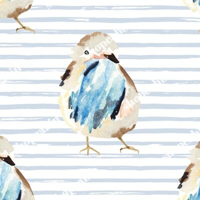 Birdie With Blue Stripes.jpg