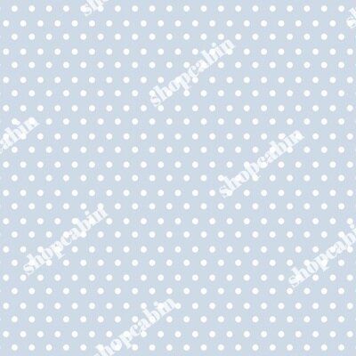 White Polka Dots With Blue Back.jpg