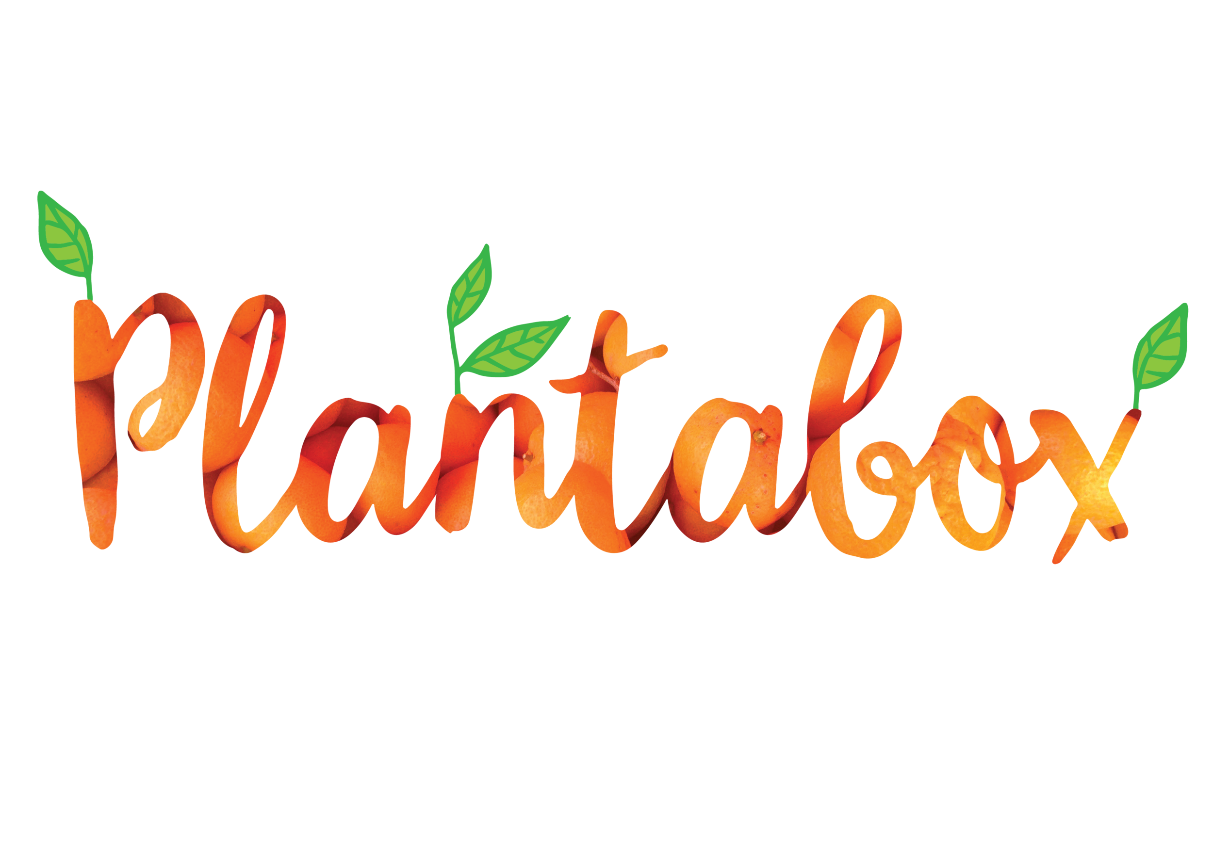 PB-orange-01.png