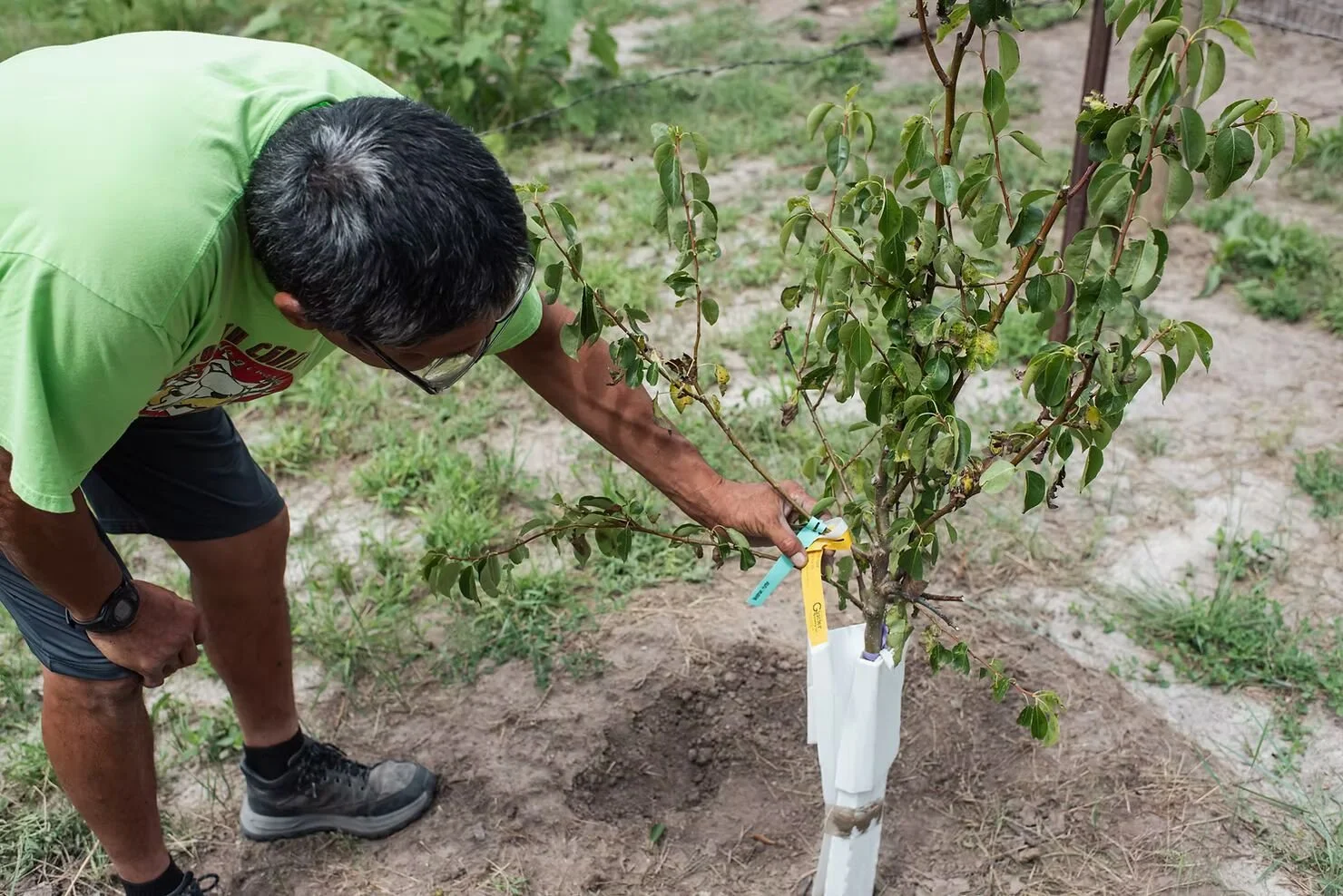 Growing Food Security on Pine Ridge