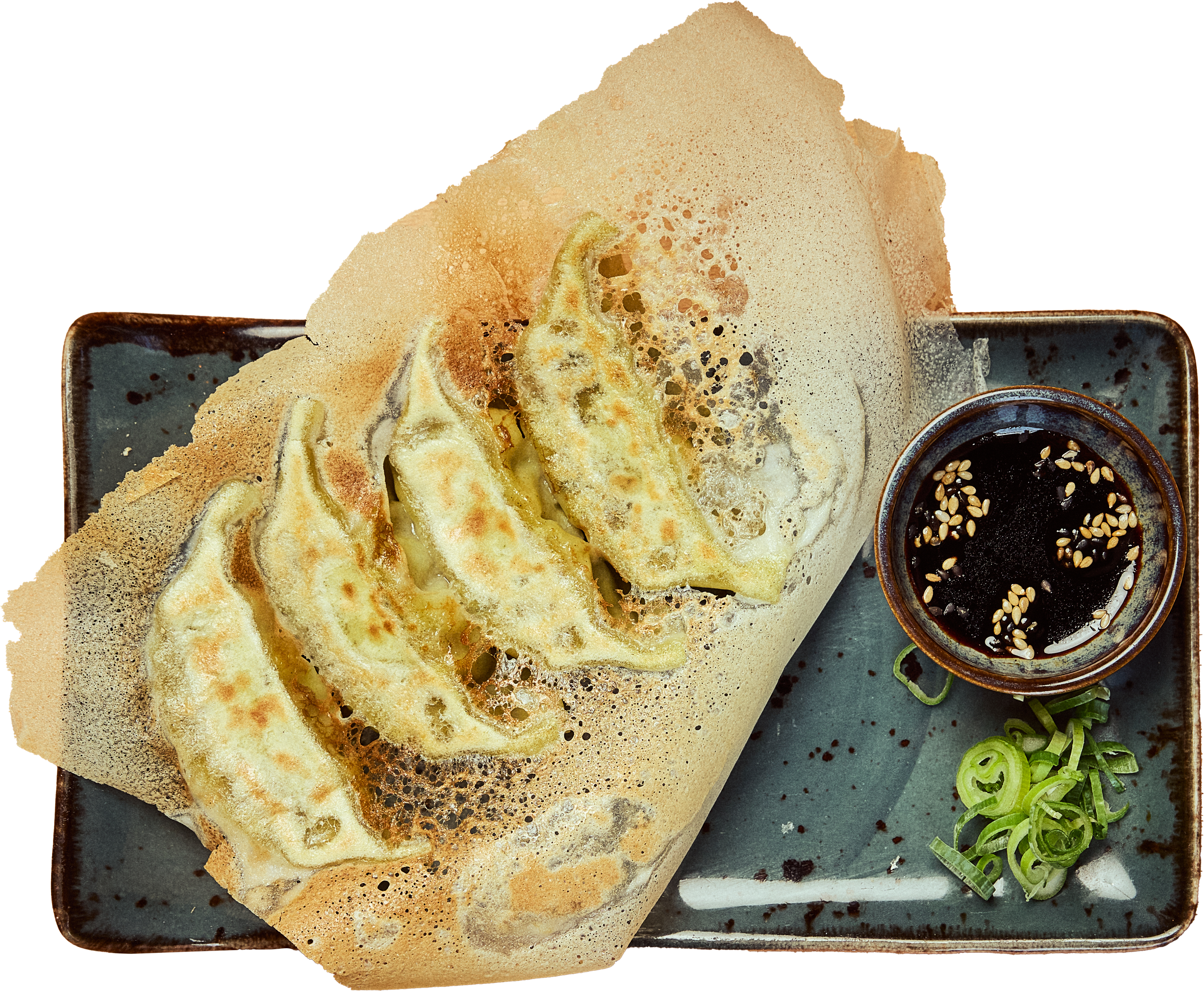 Gyoza Veggie_Alpha.png