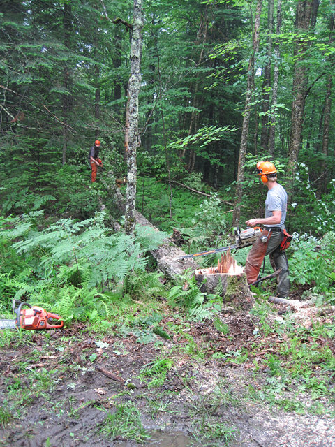 Limbing and marking logs.